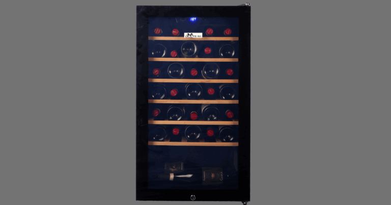 Finding the Perfect Wine Fridge in Singapore: A Guide for Wine Lovers