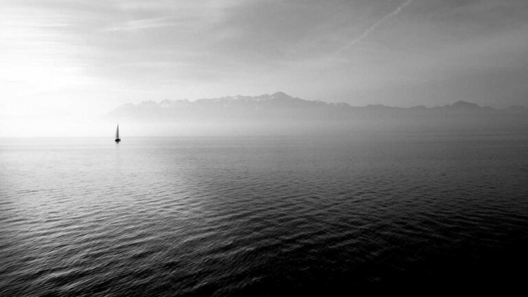 What Features Does 99Exchange Black Offer Users?